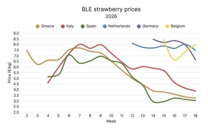 German BLE strawberry prices, 2026 (1).jpg